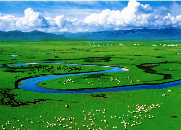 201909201568946980126719.jpg 20190920_102316_041.jpg