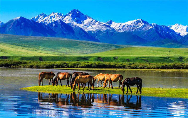 201909201568947299516252.jpg 20190920_102316_051.jpg