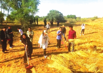 201910091570609824162014.jpg 2.jpg