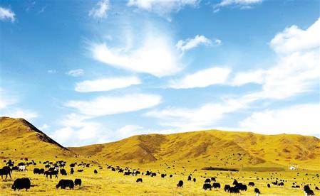 201910091570610555645691.jpeg 2.jpeg