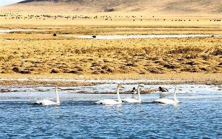 201910091570610564126513.jpeg 3.jpeg