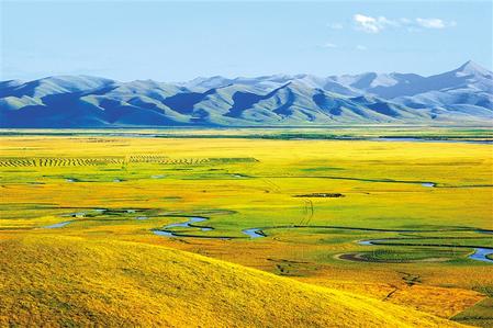 201910091570610575109326.jpeg 4.jpeg