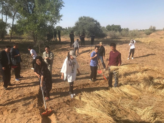 201910091570611532123445.jpg 20191009_165504_013.jpg