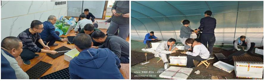 202304031680484170597410.png 5.png