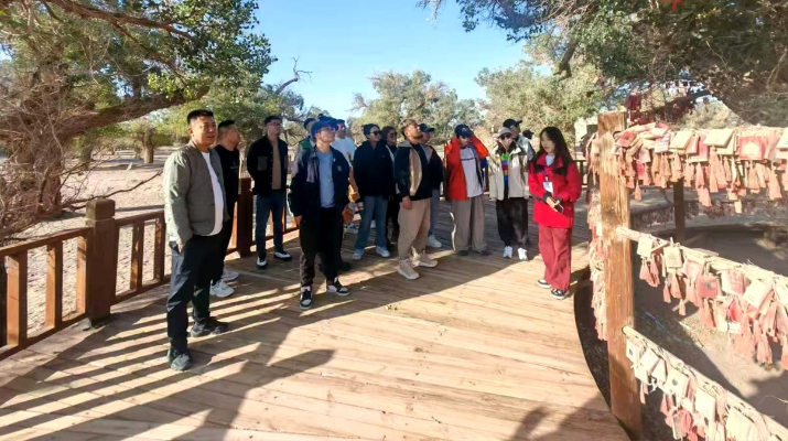 202409191726705885493918.png 圖片5_副本.png